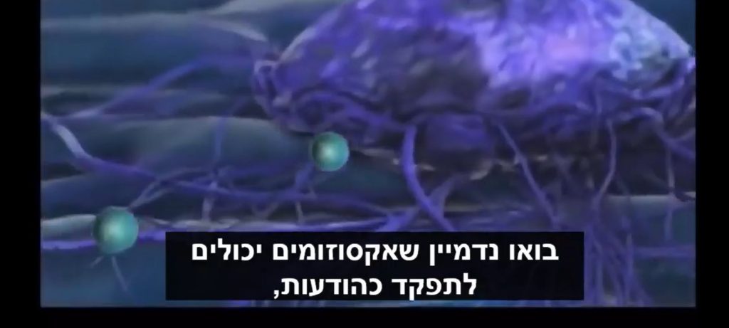 תאוריית הוירוסים מול תאוריית האקסוזום