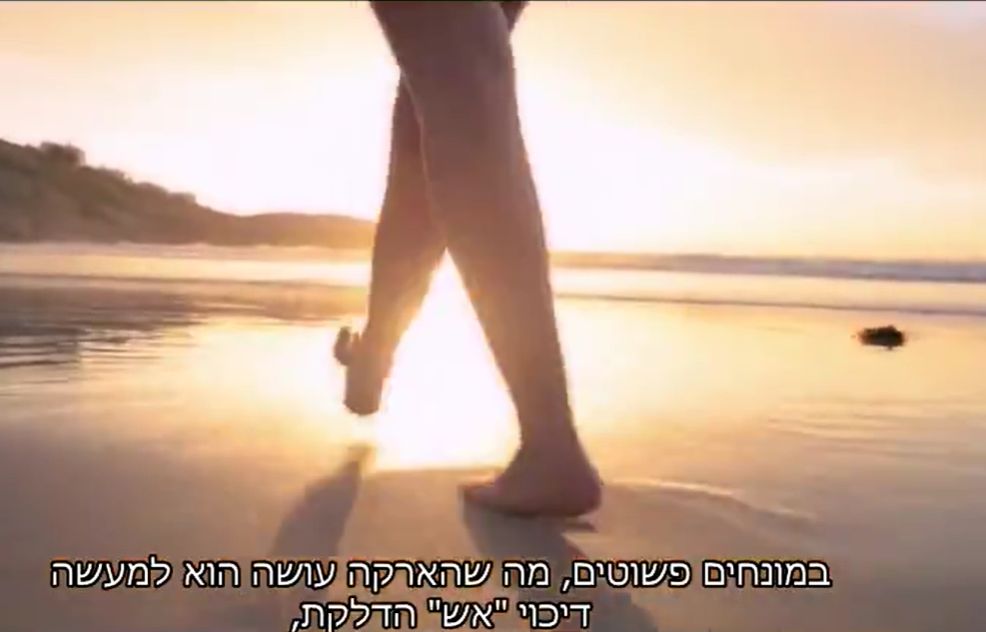 הארקת הגוף דרך האדמה
